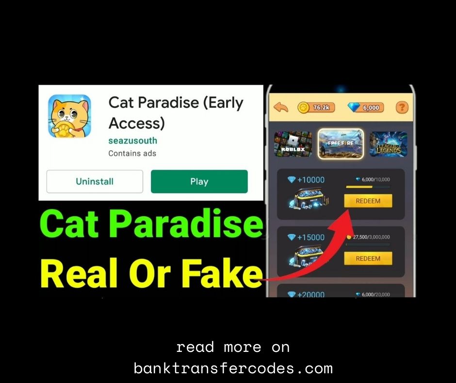 Cat Paradise Full Review