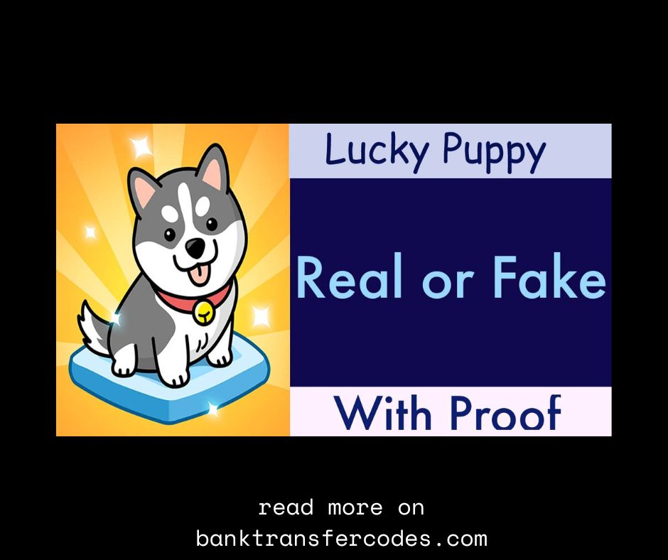 Is Puppy Town Real Or Fake