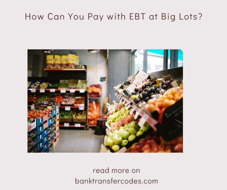 How Can You Pay with EBT at Big Lots